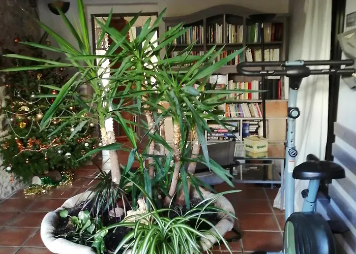 Ferienhaus Belle Maison De Caractere Dans Village Et Sa Piscine Privee 7 Pers- 3 - 12 Rue Emile Zola Millas